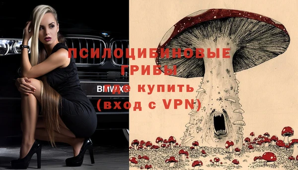 стафф Алексеевка