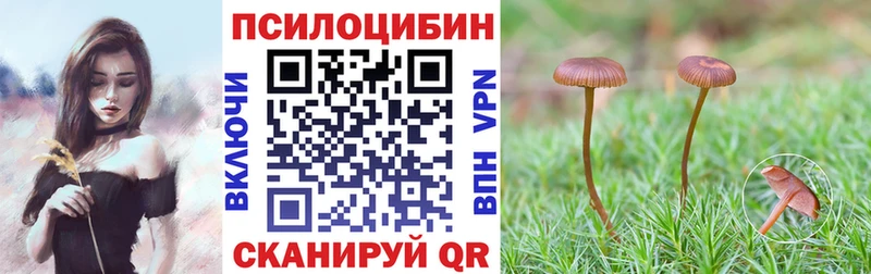 Псилоцибиновые грибы Psilocybine cubensis  Гаджиево 